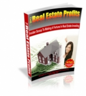 Product picture The Real Estate Profits 2010