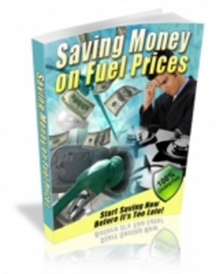 Product picture Saving Money On Fuel Prices 2010
